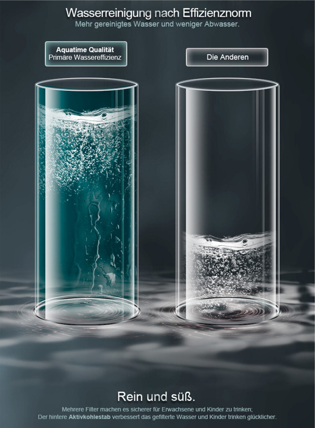 Umkehrosmoseanlage 1,6L pro Min. Wasserfilter 4000 L Kapazität | TDS-Detektion